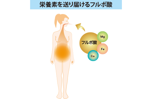 フルボ酸について｜株式会社日本フルボ酸総合研究所